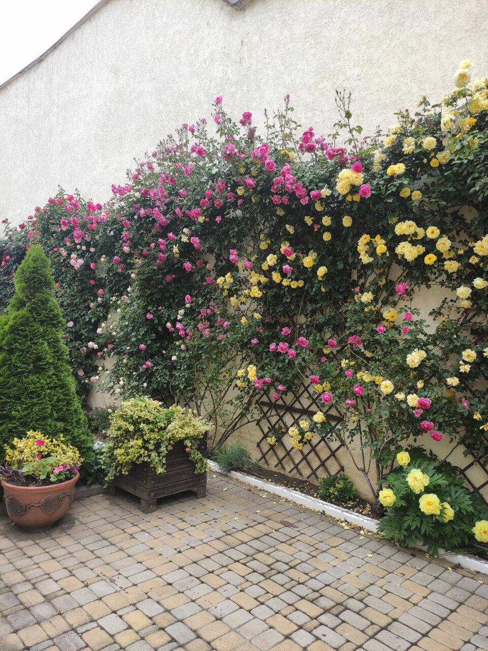 Гостиница Иностранец Краснодар-178