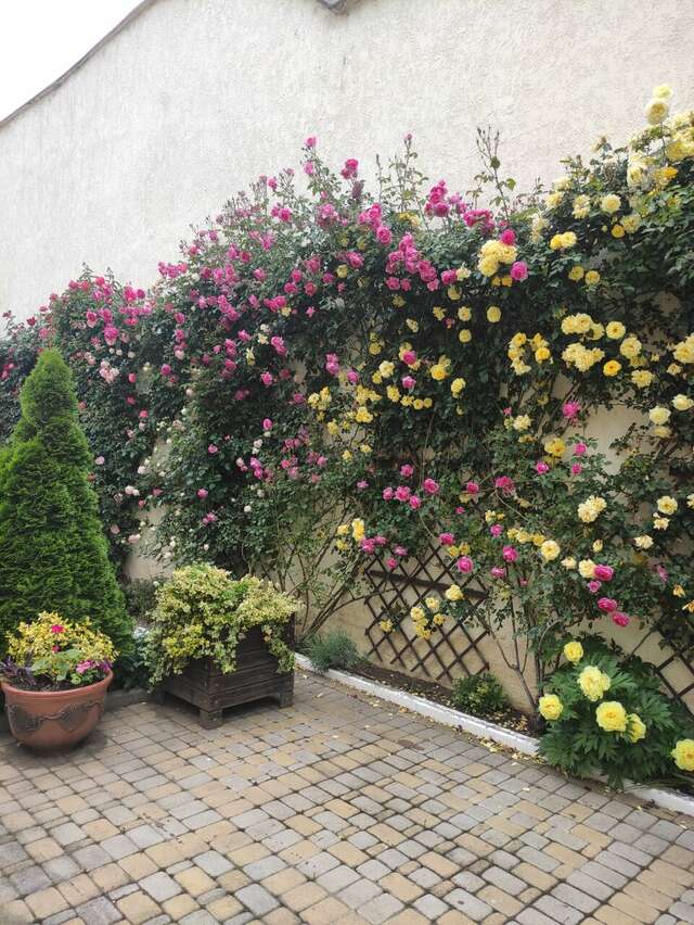 Гостиница Иностранец Краснодар-177